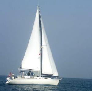 otarie02.jpg 300x295